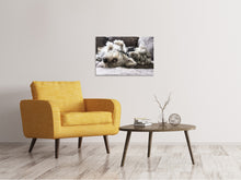 Laden Sie das Bild in den Galerie-Viewer, Leinwandbild 2 niedliche Hunde