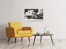 Laden Sie das Bild in den Galerie-Viewer, Leinwandbild 2 niedliche Hunde