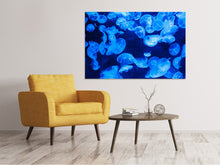 Laden Sie das Bild in den Galerie-Viewer, Leinwandbild Viele Quallen im blauen Wasser