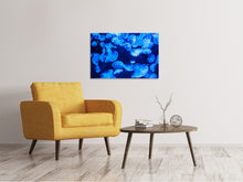 Laden Sie das Bild in den Galerie-Viewer, Leinwandbild Viele Quallen im blauen Wasser