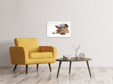 Laden Sie das Bild in den Galerie-Viewer, Leinwandbild Der lustige Schweine Hund