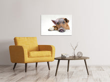 Laden Sie das Bild in den Galerie-Viewer, Leinwandbild Der lustige Schweine Hund