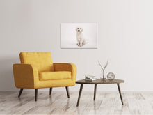 Laden Sie das Bild in den Galerie-Viewer, Leinwandbild Süsse Golden Retriever Welpe