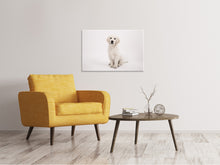 Laden Sie das Bild in den Galerie-Viewer, Leinwandbild Süsse Golden Retriever Welpe