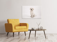 Laden Sie das Bild in den Galerie-Viewer, Leinwandbild Süsse Golden Retriever Welpe