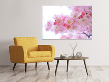 Laden Sie das Bild in den Galerie-Viewer, Leinwandbild Japanische Kirschblüte XL