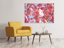 Laden Sie das Bild in den Galerie-Viewer, Leinwandbild Wunderschöne Kirschblüten