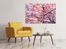 Laden Sie das Bild in den Galerie-Viewer, Leinwandbild Wundervolle Japanische Zierkirsche