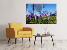 Laden Sie das Bild in den Galerie-Viewer, Leinwandbild Lila Krokus in der Natur