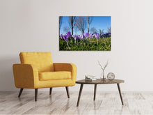 Laden Sie das Bild in den Galerie-Viewer, Leinwandbild Lila Krokus in der Natur