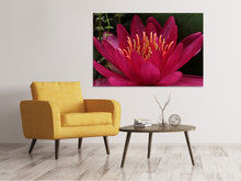 Laden Sie das Bild in den Galerie-Viewer, Leinwandbild Wundervolle Seerose