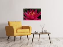 Laden Sie das Bild in den Galerie-Viewer, Leinwandbild Wundervolle Seerose
