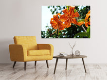 Laden Sie das Bild in den Galerie-Viewer, Leinwandbild Die wilden Tiger-Lilien