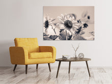 Laden Sie das Bild in den Galerie-Viewer, Leinwandbild Sonnenblumen sw