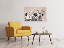 Laden Sie das Bild in den Galerie-Viewer, Leinwandbild Sonnenblumen sw