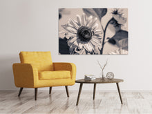 Laden Sie das Bild in den Galerie-Viewer, Leinwandbild Bienen auf der Sonnenblume sw