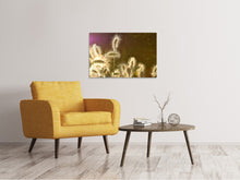 Laden Sie das Bild in den Galerie-Viewer, Leinwandbild Das Ziergras
