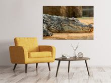 Laden Sie das Bild in den Galerie-Viewer, Leinwandbild Das Nilkrokodil