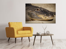 Laden Sie das Bild in den Galerie-Viewer, Leinwandbild Achtung Alligator !