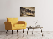 Laden Sie das Bild in den Galerie-Viewer, Leinwandbild Achtung Alligator !