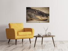 Laden Sie das Bild in den Galerie-Viewer, Leinwandbild Achtung Alligator !