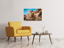 Laden Sie das Bild in den Galerie-Viewer, Leinwandbild Kleiner Alligator
