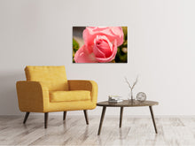 Laden Sie das Bild in den Galerie-Viewer, Leinwandbild Die Rose in rosa