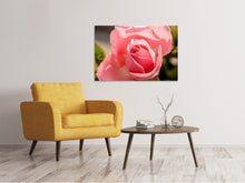 Laden Sie das Bild in den Galerie-Viewer, Leinwandbild Die Rose in rosa