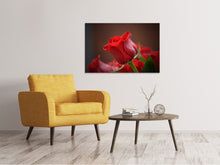 Laden Sie das Bild in den Galerie-Viewer, Leinwandbild Rote Rose in XL