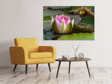 Laden Sie das Bild in den Galerie-Viewer, Leinwandbild XL Seerose in rosa
