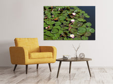 Laden Sie das Bild in den Galerie-Viewer, Leinwandbild Weisse Seerosen im Teich
