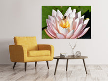 Laden Sie das Bild in den Galerie-Viewer, Leinwandbild Die Biene auf der Seerose