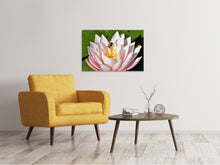 Laden Sie das Bild in den Galerie-Viewer, Leinwandbild Die Biene auf der Seerose