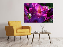Laden Sie das Bild in den Galerie-Viewer, Leinwandbild Der Rhododendron
