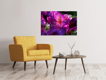 Laden Sie das Bild in den Galerie-Viewer, Leinwandbild Der Rhododendron
