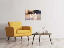Laden Sie das Bild in den Galerie-Viewer, Leinwandbild Kunstvolle Blase