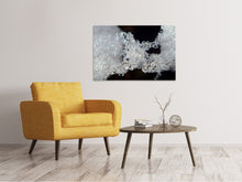 Laden Sie das Bild in den Galerie-Viewer, Leinwandbild Eiskristalle XL