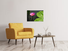 Laden Sie das Bild in den Galerie-Viewer, Leinwandbild Lotus Blüte in pink