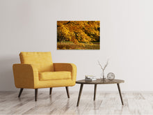 Laden Sie das Bild in den Galerie-Viewer, Leinwandbild Der prächtige Herbstbaum