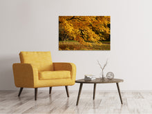 Laden Sie das Bild in den Galerie-Viewer, Leinwandbild Der prächtige Herbstbaum