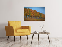 Laden Sie das Bild in den Galerie-Viewer, Leinwandbild Wunderschöner Herbst