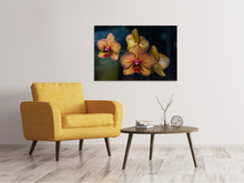 Laden Sie das Bild in den Galerie-Viewer, Leinwandbild Orchidaceae
