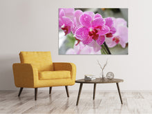 Laden Sie das Bild in den Galerie-Viewer, Leinwandbild Lila Orchideen in der Blüte