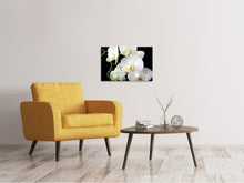 Laden Sie das Bild in den Galerie-Viewer, Leinwandbild Orchidee Close up