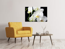 Laden Sie das Bild in den Galerie-Viewer, Leinwandbild Orchidee Close up