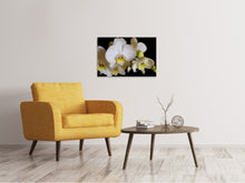 Laden Sie das Bild in den Galerie-Viewer, Leinwandbild Weisse Orchideen in der Blüte
