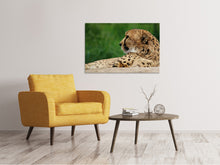 Laden Sie das Bild in den Galerie-Viewer, Leinwandbild XL Gepard