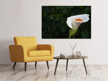 Laden Sie das Bild in den Galerie-Viewer, Leinwandbild XL Calla in weiss