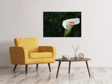 Laden Sie das Bild in den Galerie-Viewer, Leinwandbild XL Calla in weiss