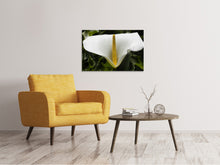Laden Sie das Bild in den Galerie-Viewer, Leinwandbild Makro Calla in weiss